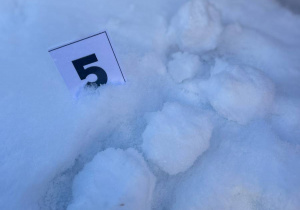 "Matematyczne pory roku"- innowacja gr. VI