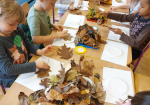 Program "Działaj z ImPETem"