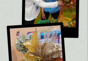 Program "Działaj z ImPETem"