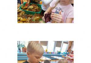 Program "Działaj z ImPETem"