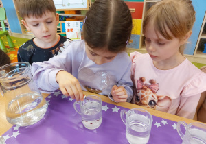 Program "Działaj z ImPETem"