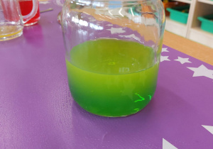 Program "Działaj z ImPETem"