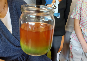 Program "Działaj z ImPETem"