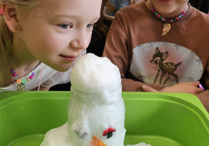 „Zima pełna magii” – projekt edukacyjny w gr. IV - ciąg dalszy