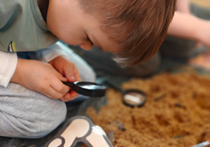 "Tajemnice prehistorycznego świata dinozaurów"-czyli projekt edukacyjny w grupie II