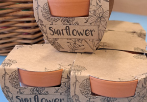 Dzień Kobiet w grupie IX