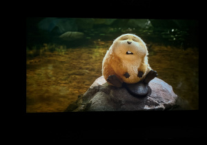 Świętujemy Dzień Kobiet w gr. XI i XII