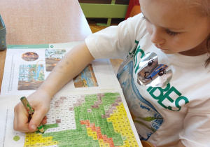 ,,Dzień Matematyki ” – grupa V