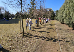„Kijki w małych rączkach” – Nordic Walking dla przedszkolaków – gr. IV