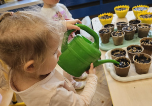 Powitanie wiosny w grupie maluszków- grupa I
