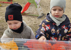 Radosne powitanie wiosny w grupie VII