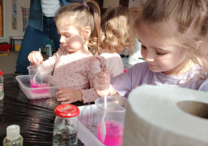 Preorientacja zawodowa- eksperymenty