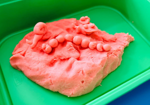 Dzień otwarty w Białym koniku