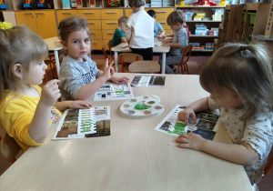 "Zielony ogródek parapetowy' - projekt edukacyjny w grupie IX