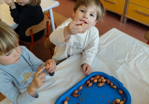 "Zielony ogródek parapetowy' - projekt edukacyjny w grupie IX