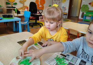 "Zielony ogródek parapetowy' - projekt edukacyjny w grupie IX