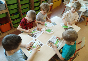 "Zielony ogródek parapetowy' - projekt edukacyjny w grupie IX
