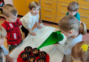 "Zielony ogródek parapetowy' - projekt edukacyjny w grupie IX