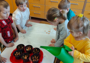 "Zielony ogródek parapetowy' - projekt edukacyjny w grupie IX