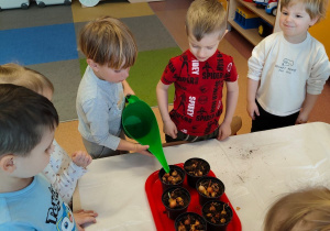 "Zielony ogródek parapetowy' - projekt edukacyjny w grupie IX