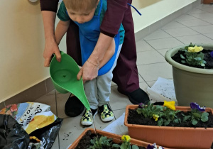 "Zielony ogródek parapetowy' - projekt edukacyjny w grupie IX