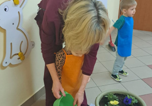 "Zielony ogródek parapetowy' - projekt edukacyjny w grupie IX