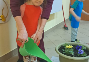 "Zielony ogródek parapetowy' - projekt edukacyjny w grupie IX