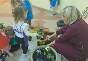 "Zielony ogródek parapetowy' - projekt edukacyjny w grupie IX