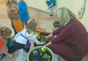 "Zielony ogródek parapetowy' - projekt edukacyjny w grupie IX