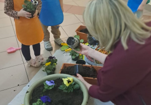"Zielony ogródek parapetowy' - projekt edukacyjny w grupie IX