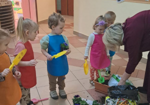 "Zielony ogródek parapetowy' - projekt edukacyjny w grupie IX