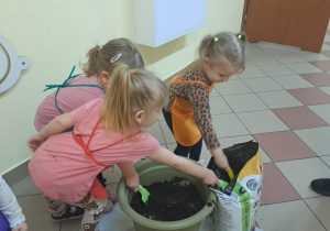 "Zielony ogródek parapetowy' - projekt edukacyjny w grupie IX