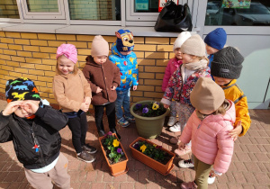 "Zielony ogródek parapetowy' - projekt edukacyjny w grupie IX