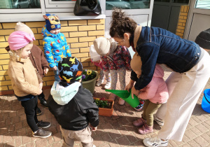 "Zielony ogródek parapetowy' - projekt edukacyjny w grupie IX