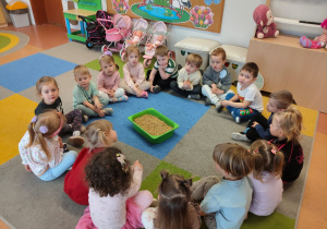 "Zielony ogródek parapetowy' - projekt edukacyjny w grupie IX