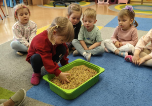 "Zielony ogródek parapetowy' - projekt edukacyjny w grupie IX
