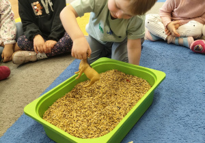 "Zielony ogródek parapetowy' - projekt edukacyjny w grupie IX