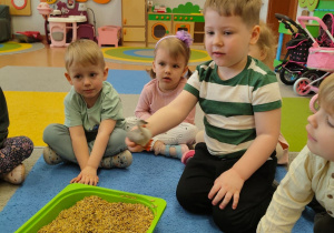 "Zielony ogródek parapetowy' - projekt edukacyjny w grupie IX