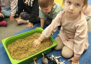 "Zielony ogródek parapetowy' - projekt edukacyjny w grupie IX