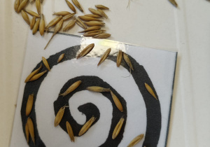 "Zielony ogródek parapetowy' - projekt edukacyjny w grupie IX