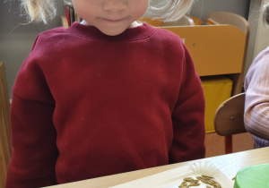 "Zielony ogródek parapetowy' - projekt edukacyjny w grupie IX