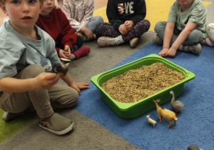 "Zielony ogródek parapetowy' - projekt edukacyjny w grupie IX