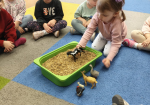 "Zielony ogródek parapetowy' - projekt edukacyjny w grupie IX