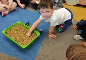 "Zielony ogródek parapetowy' - projekt edukacyjny w grupie IX