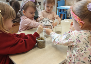 "Zielony ogródek parapetowy' - projekt edukacyjny w grupie IX