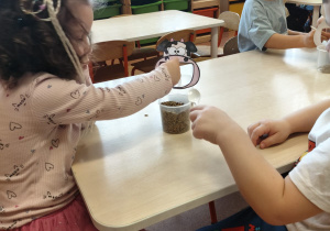 "Zielony ogródek parapetowy' - projekt edukacyjny w grupie IX