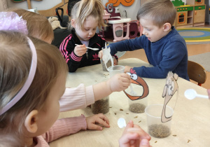 "Zielony ogródek parapetowy' - projekt edukacyjny w grupie IX