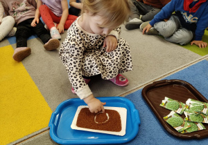 "Zielony ogródek parapetowy' - projekt edukacyjny w grupie IX