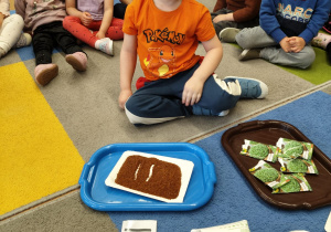 "Zielony ogródek parapetowy' - projekt edukacyjny w grupie IX