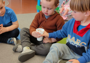 "Zielony ogródek parapetowy' - projekt edukacyjny w grupie IX